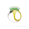 Ribbon Fan-out Optic Fiber Pigtail